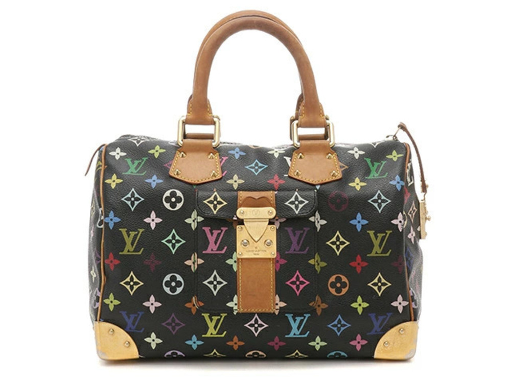 LOUIS VUITTON Speedy Handbag Multicolor Noir Black